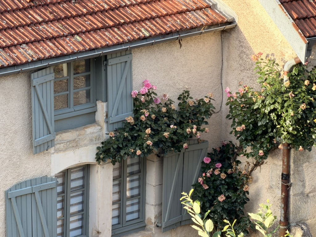 Stone facade with blue shutters and climbing roses