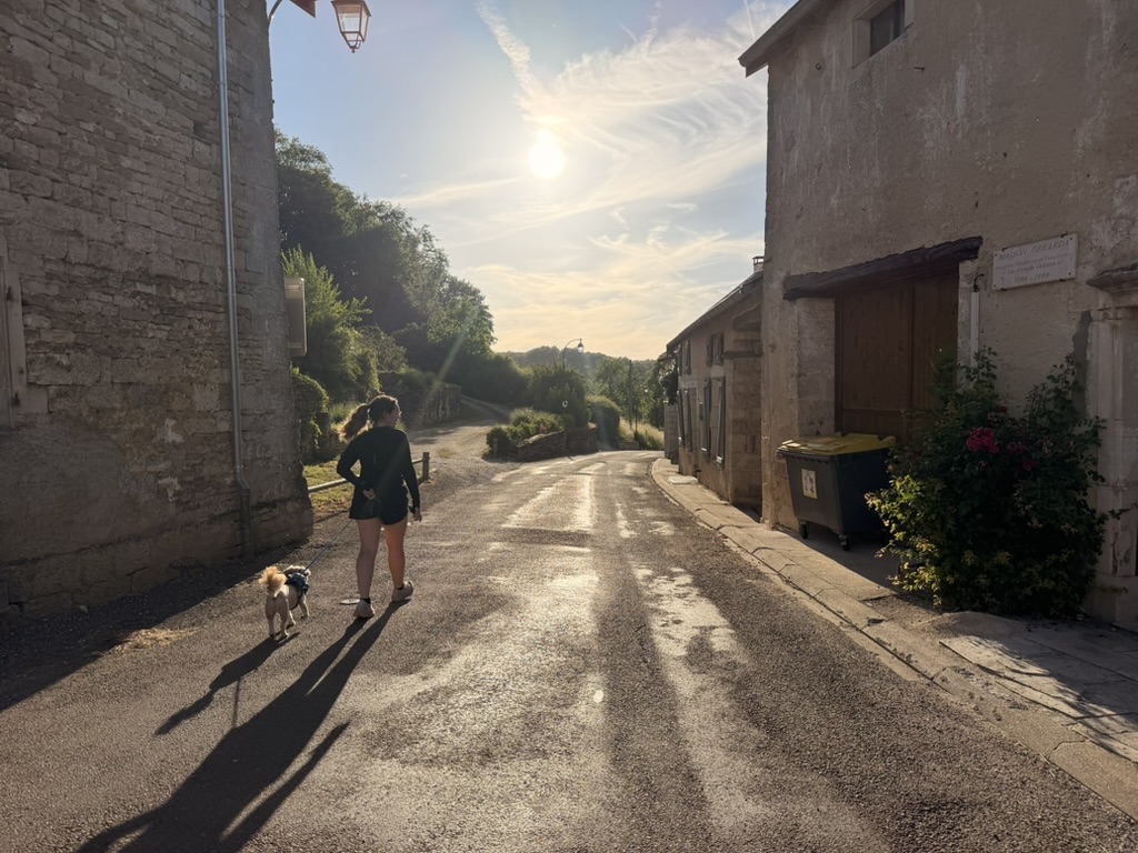 Walking a dog down the village lane at golden hour